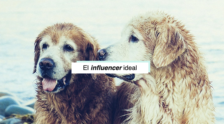 cómo-encontrar-influencer-ideal